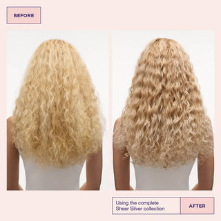 Sheer Silver Booster Masque