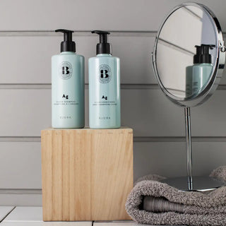 Ag Silverschampo & Balsam Duo