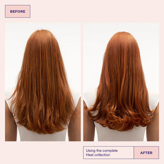 Head & Hair Heal Shampoo