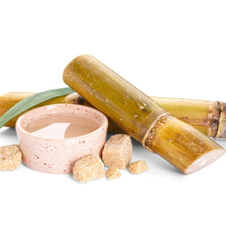 Healing Moisture Kukui Nut Conditioner