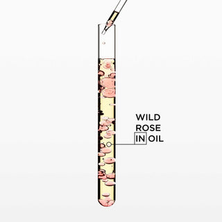 Gloss Absolu Glaze Drops Hair Oil