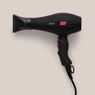 Professional Dryer 2000 Ion