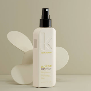 Blowdry Ever Smooth