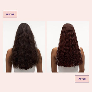 Colour Refresh Autumn Red