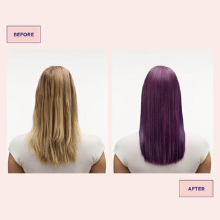 Colour Refresh Vivid Violet