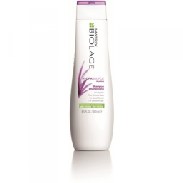 Matrix Biolage HydraSource Shampoo 250ml - Hairsale.se